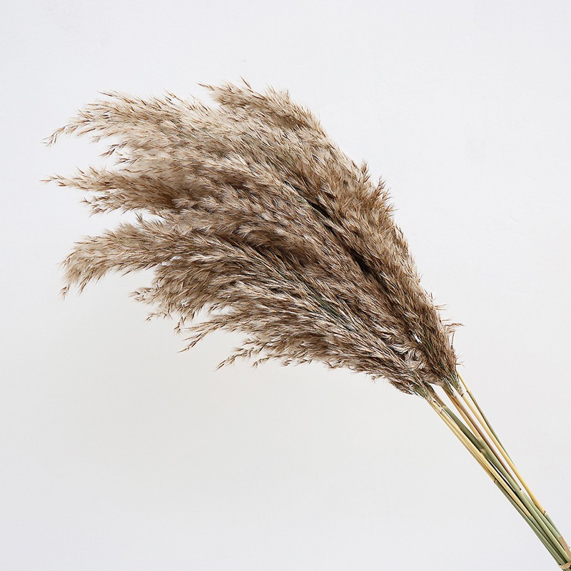 10 stuks kleurrijke natuurlijk - Flower Girl Basket recensie en prijs